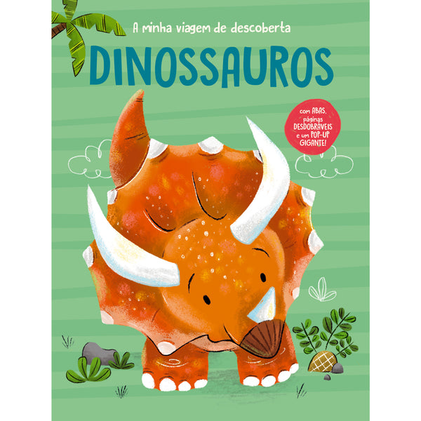 Vamos à Descoberta - Dinossauros de YOYO BOOKS