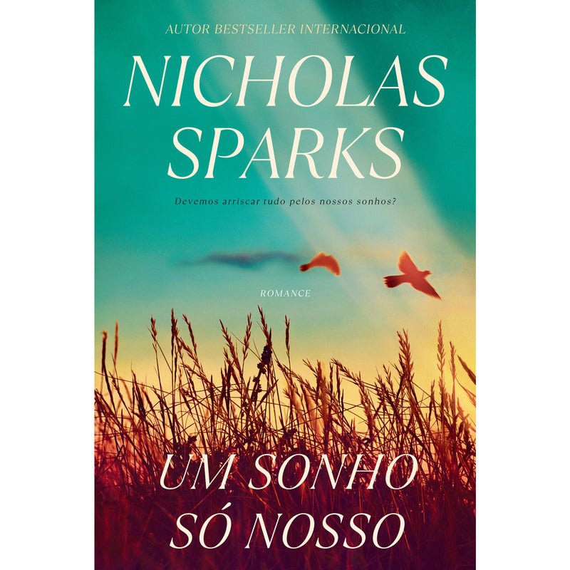 Um Sonho Só Nosso de Nicholas Sparks